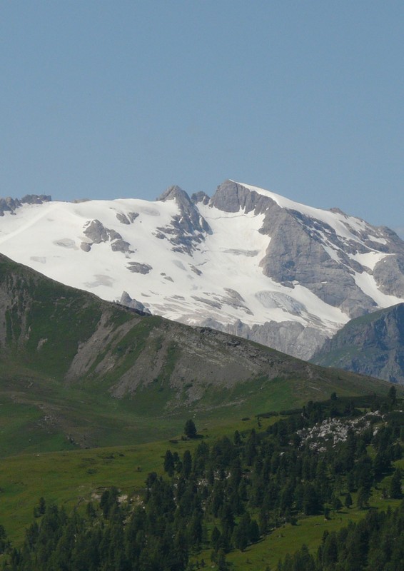 Una giornata a Valparola. Dactylorhiza, Nigritella e grandi montagne!